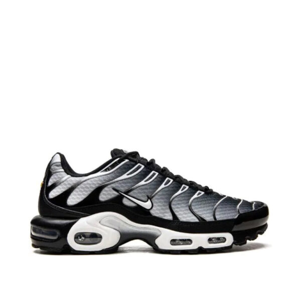 Nike Air Max Plus "Black/Silver"